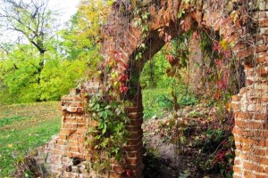 Дворец Тарновских, Качановка